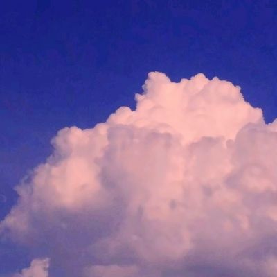 最新版崩坏3vivo版下载