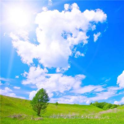 梦幻问情手游百度版下载