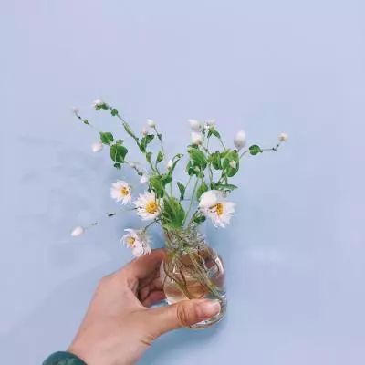 魔力契约4399版下载
